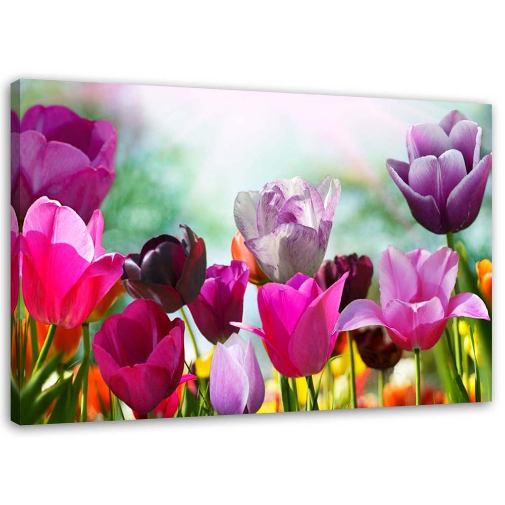 Leinwandbilder Tulpen Lila Blumen Natur Kaufen Home24