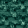 Tissu structuré Otrera: Vert foncé