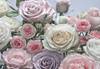 papier peint panoramique Floraison rose, violet et blanc