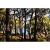 Tableau mural calanques forêt de pins Vert - Fibres naturelles - 45 x 65 x 4 cm