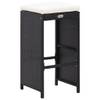 Ensemble de bar de jardin Noir - Matière plastique - Polyrotin - 80 x 110 x 200 cm