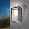 Buitenwandlamp Alamonte I glas/roestvrij staal - 1 lichtbron - Zwart