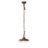 Suspension Peter Fer - 1 ampoule