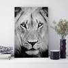 Tableau déco vieux lion 40 x 60 x 0.4 cm