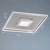 LED-plafondlamp Raich III acryl/nikkel - 1 lichtbron