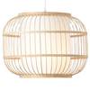 Suspension Bones II Fer - 1 ampoule