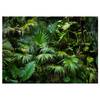 Vlies Fototapete Sunny Jungle Premium Vlies - Grün - 350 x 245 cm