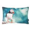 Housse de coussin Duffy Coton - Lagune