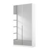 Draaideurkast Alabama Alpinewit - 91 x 229 cm - Basic - Met spiegeldeuren