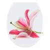 Wc-bril Orchid roestvrij staal/Duroplast - meerdere kleuren