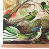 Poster Birds textiel - meerdere kleuren