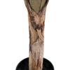 Albero artificiale Banano Verde - 80cm x 163cm x 105cm