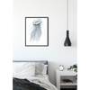 Poster Jellyfish Carta