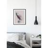 Poster Animals Forest Owl Carta - Multicolore