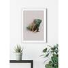 Wandbild Animals Paradise Iguana Papier - Mehrfarbig