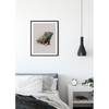 Wandbild Animals Paradise Iguana Papier - Mehrfarbig