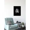 Poster Feather Carta - Nero