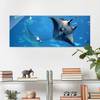 Glasbild Manta Ray Blau - 80 x 30 x 0,4 cm - 80 x 30 cm