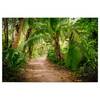 Canvas Jungle Palm Walk Poliestere PVC / Legno di abete rosso - Marrone / Verde