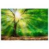 Afbeelding Forest Light polyester PVC/sparrenhout - groen/bruin