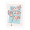Poster Cinderella Plant Multicolore - Carta - 50 cm x 70 cm
