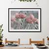 Poster e cornice con papaveri II Carta / Pino - Rosa - 70 x 50 cm