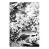 Tableau déco Monochrome Lilac Toile - Noir / Blanc