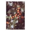 Afbeelding Magic Bush canvas - groen