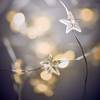LED-Lichterkette STAR LIGHTS III Polyester PVC / Kupfer - 20-flammig