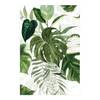 Tappeto Monstera acquarellata Vinile / Poliestere - 120 x 180 cm