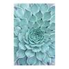 Tappeto Cactus Agave Vinile / Poliestere - 100 x 150 cm