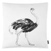 Housse de coussin Artist Coton - 50 x 50 cm