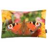 Federa per cuscino Pavo Cotone - 27 x 43 cm