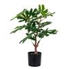 Pianta artificiale Fig Tree Polietilene - verde