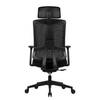 Chaise de bureau Torge Noir - Mesh / Plastique