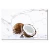 Impression sur toile Coconut Épicéa massif / Tissu mélangé - 80 x 120 cm