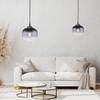 Hanglamp Zea type A rookglas / ijzer - 1 lichtbron