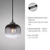 Hanglamp Zea type A rookglas / ijzer - 1 lichtbron