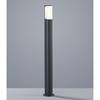 Luminaire d'extérieur LED Ticino 1 ampoule - Aluminium / Matériau synthétique - Anthracite