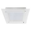 Plafonnier LED Diamond I Verre / Acier - 60 ampoules