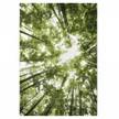 Tapis salon GREENTREE 160 x 230 cm