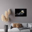 Tableau sur verre loutre 45x65 cm 45 x 65 cm