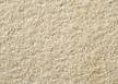 Kurzflorteppich Cambridge 200x250 cm, beige - Beige - 200 x 250 cm