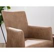 Sessel Carnew Antiklederlook - Cubanit