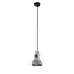 Hanglamp Barnstaple staal - 1 lichtbron