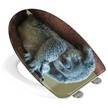 WC-Sitz Koala Edelstahl / Duroplas - Mehrfarbig