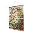 Poster Birds Textil - Mehrfarbig