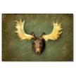 Canvas The Elk Tela / Legno massello di abete - Marrone / Verde
