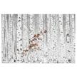 Fotomurale Alberi bianchi in autunno Tessuto non tessuto - Bianco - 432 x 290 cm