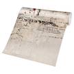 Vliestapete Alte Betonwand Vliespapier - Beige - 384 x 255 cm